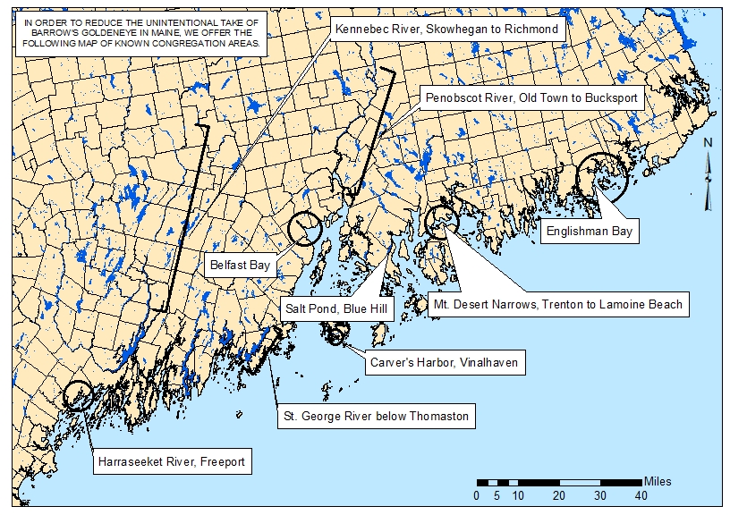 Map showing where Barrow&rsquo;s Goldeneyes are known to congregate.