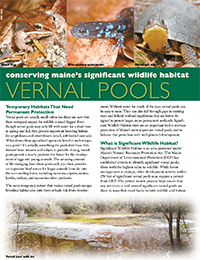Conserving Maine’s Vernal Pools (PDF)