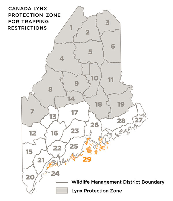 Maine map with northern half in grey, indicating lynx protection zone.
